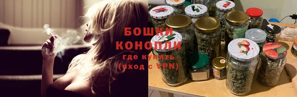 дживик Белоозёрский