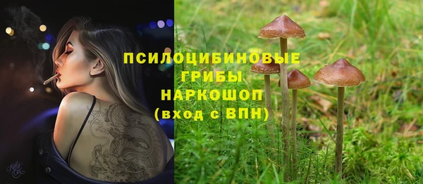 дживик Белоозёрский