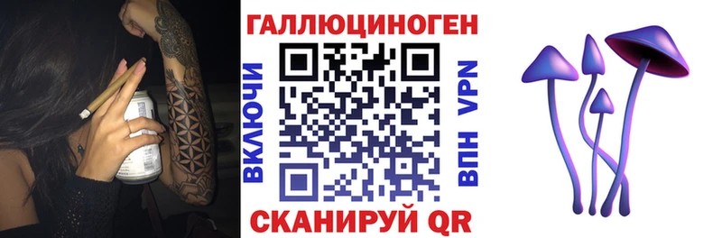 Галлюциногенные грибы Psilocybine cubensis  Купить где  Нолинск 